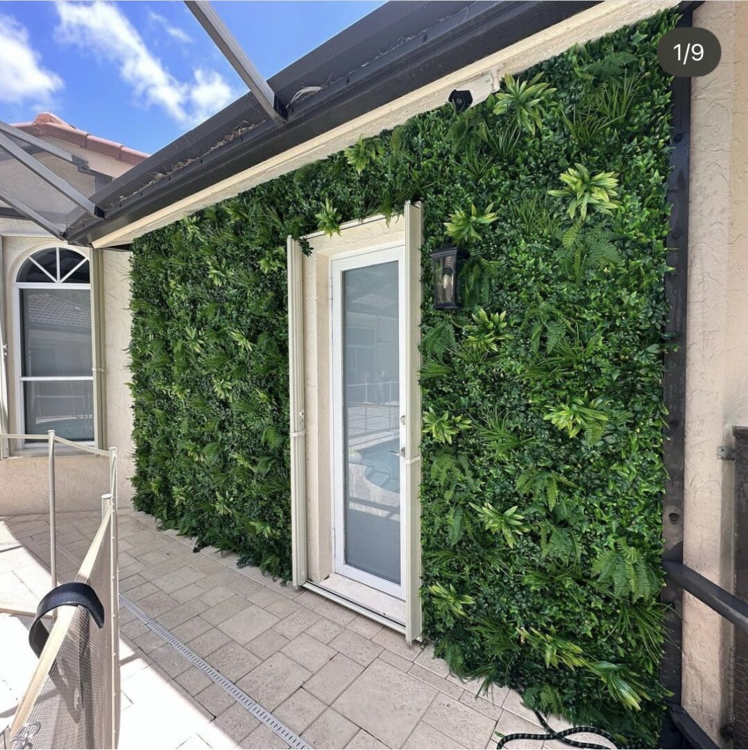 A wall of green plants next to a door.